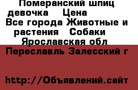 Померанский шпиц девочка  › Цена ­ 50 000 - Все города Животные и растения » Собаки   . Ярославская обл.,Переславль-Залесский г.